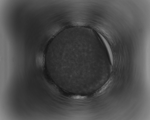 X0000093400168200710121105