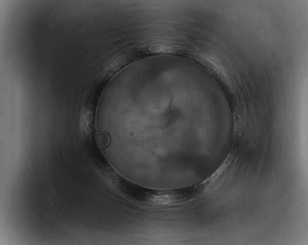 X0000093400171200710121105