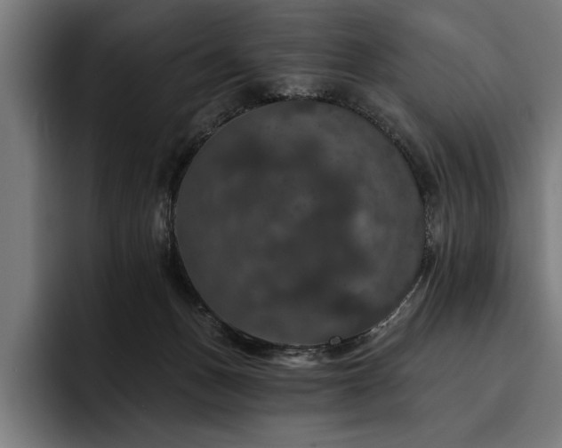 X0000093400175200710121105