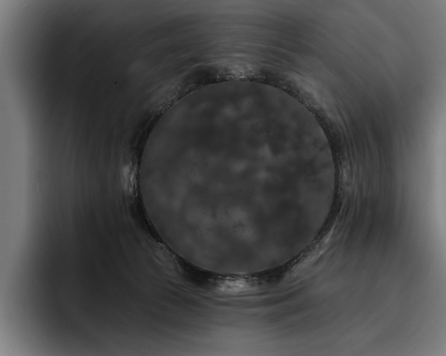 X0000093400177200710121105