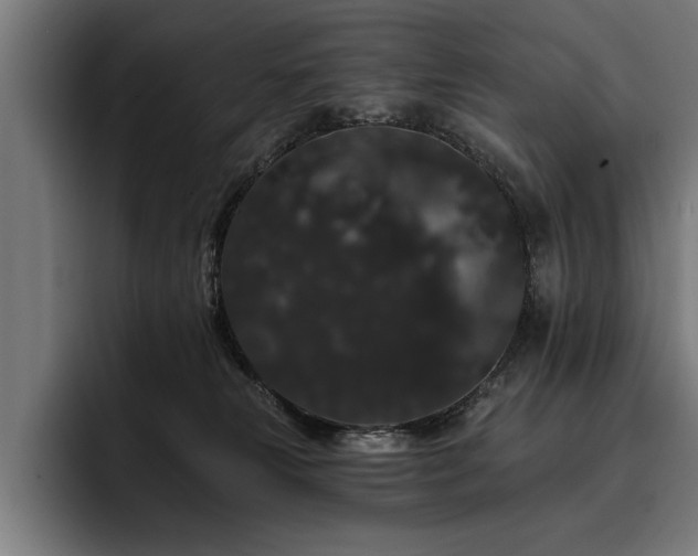 X0000093400181200710121105