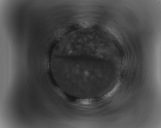 X0000093400182200710121105