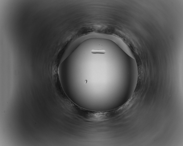 X0000093400184200710121105