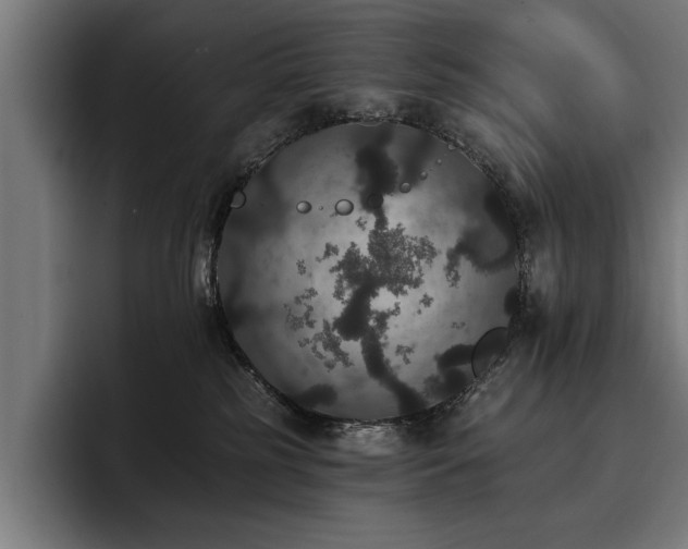 X0000093400185200710121105
