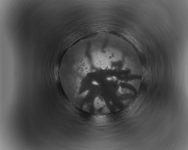 X0000093400189200710121105