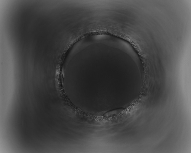 X0000093400192200710121105