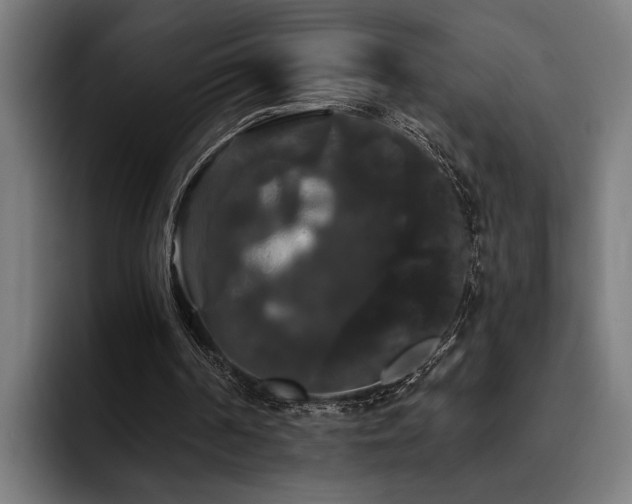 X0000093400194200710121105