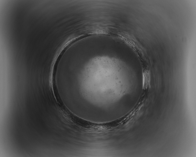 X0000093400195200710121105