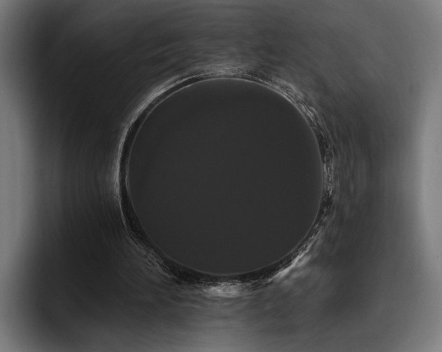 X0000093400196200710121105