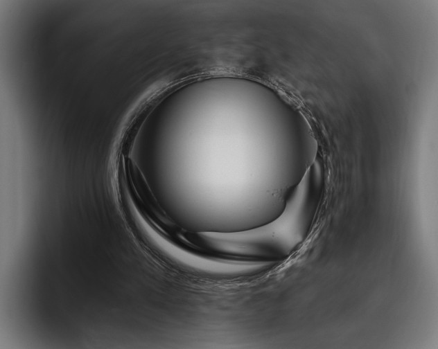 X0000093400197200710121105