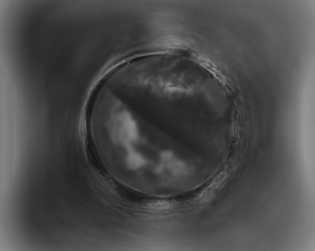 X0000093400198200710121105