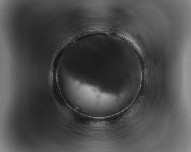 X0000093400202200710121105
