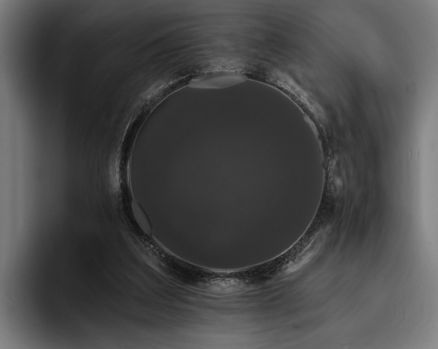 X0000093400203200710121105