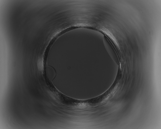 X0000093400204200710121105