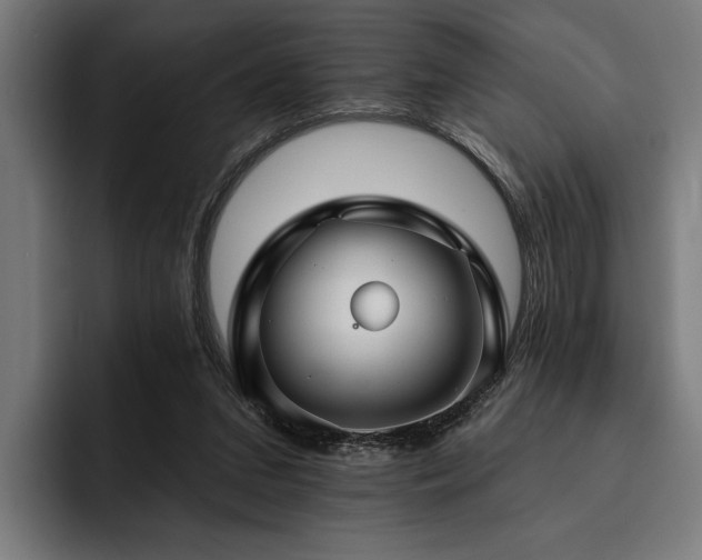 X0000093400207200710121105