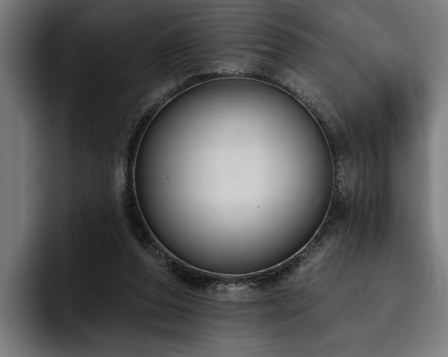 X0000093400208200710121105
