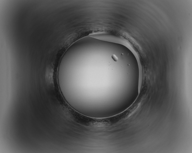 X0000093400209200710121105