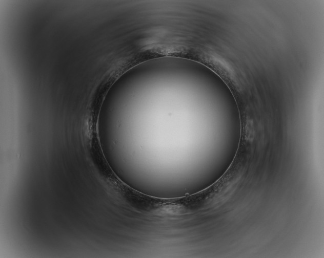 X0000093400210200710121105