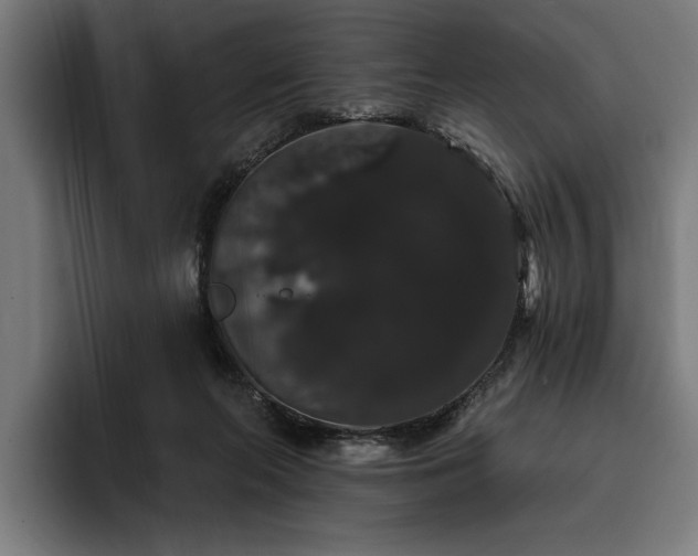 X0000093400214200710121105