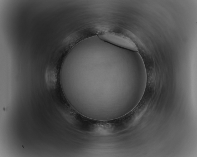 X0000093400215200710121105