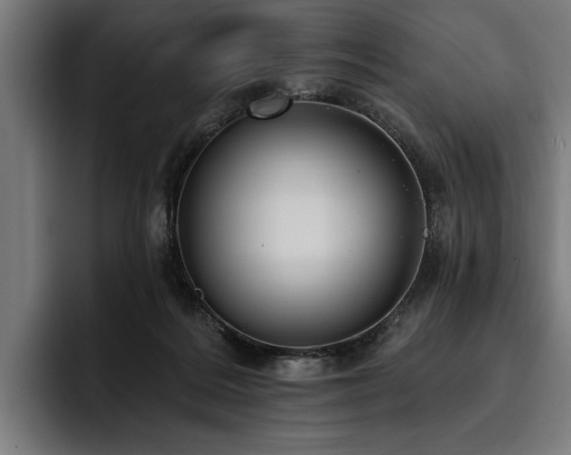 X0000093400220200710121105