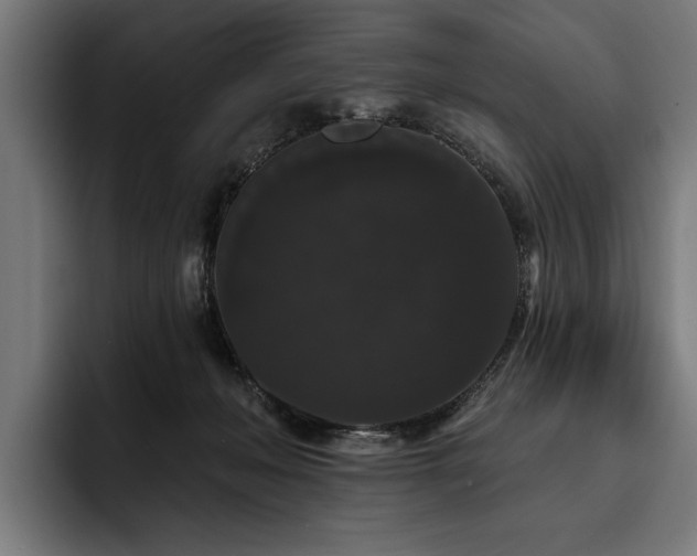 X0000093400222200710121105