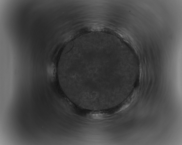 X0000093400228200710121104