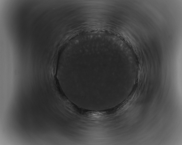 X0000093400229200710121104