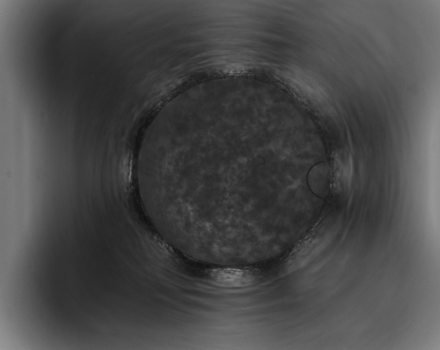 X0000093400230200710121104