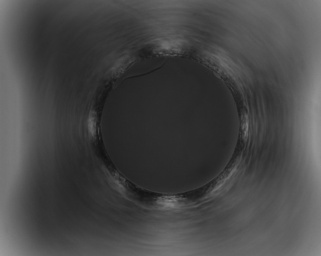 X0000093400231200710121104