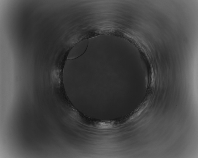 X0000093400232200710121104