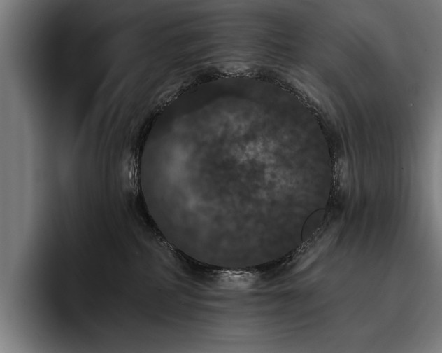 X0000093400234200710121104