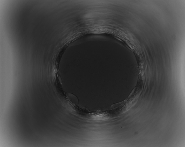 X0000093400235200710121104