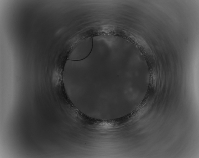 X0000093400236200710121104