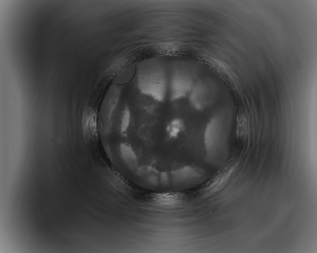 X0000093400238200710121104