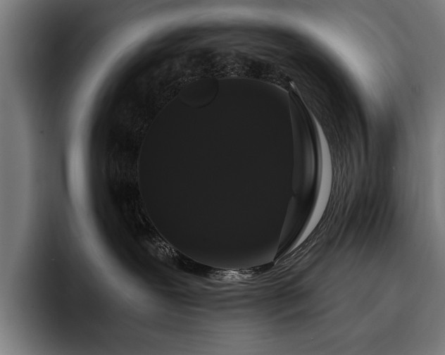 X0000093400239200710121104