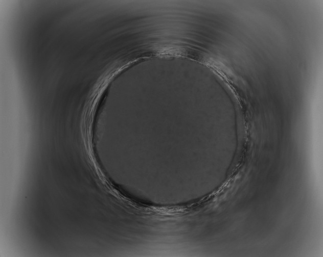 X0000093400241200710121104