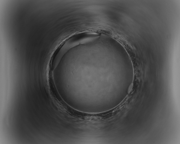 X0000093400242200710121104