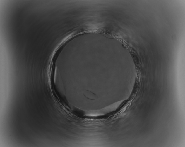 X0000093400244200710121104