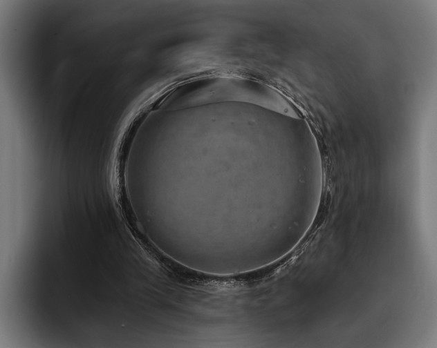 X0000093400245200710121104