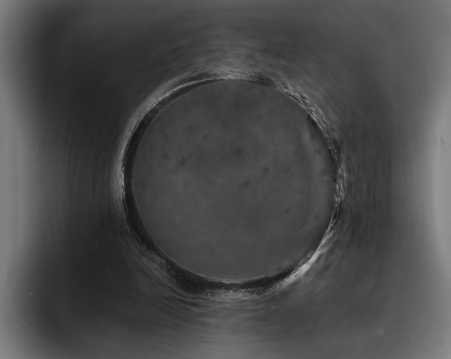 X0000093400246200710121104