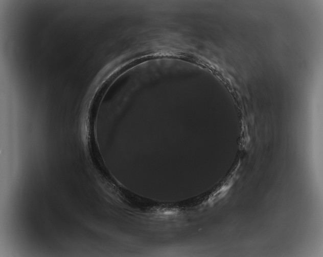 X0000093400247200710121104