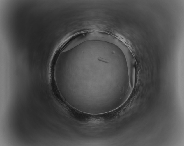 X0000093400248200710121104