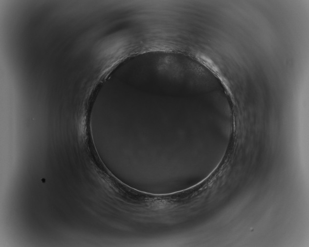 X0000093400249200710121104