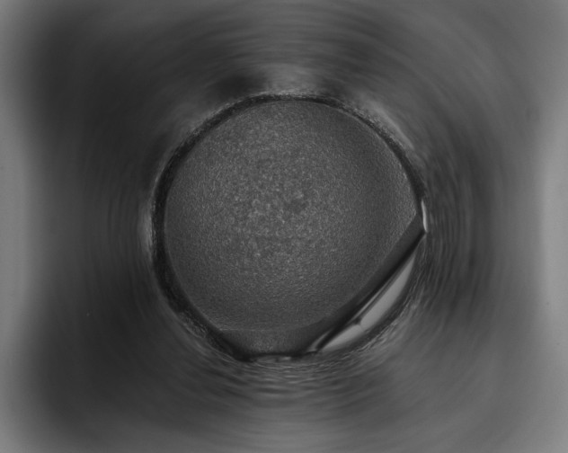 X0000093400252200710121104