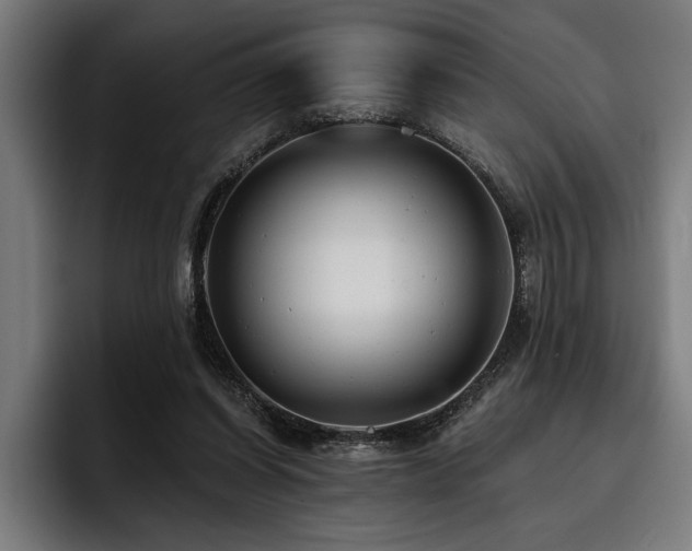 X0000093400254200710121104
