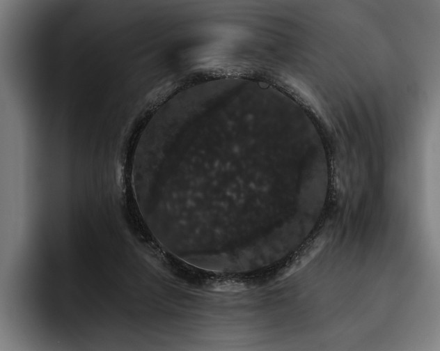 X0000093400258200710121104