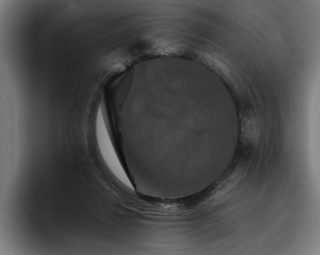 X0000093400260200710121104