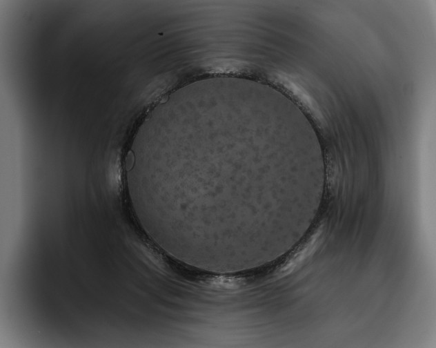 X0000093400261200710121104