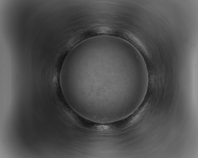 X0000093400265200710121104